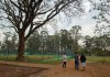 Reabertura do Parque Orlando Villas-Bôas ainda está indefinida