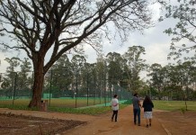 Reabertura do Parque Orlando Villas-Bôas ainda está indefinida