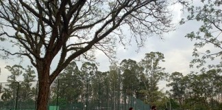 Reabertura do Parque Orlando Villas-Bôas ainda está indefinida
