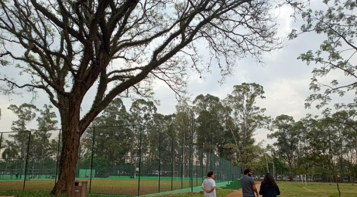 Reabertura do Parque Orlando Villas-Bôas ainda está indefinida