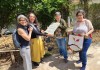 Com certificado de sustentabilidade
