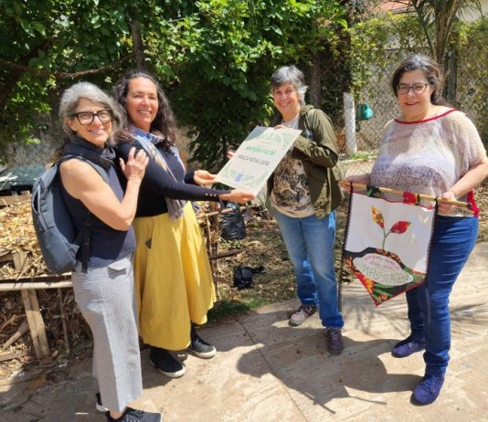 Com certificado de sustentabilidade