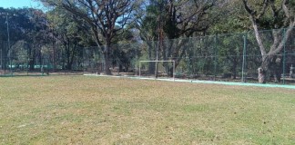 SVMA afirma que Parque Orlando Villas-Bôas reabrirá até o final do ano