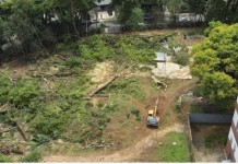 BOSQUE DOS SALESIANOS: Tegra retira árvores de terreno onde será construído empreendimento