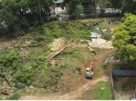 BOSQUE DOS SALESIANOS: Tegra retira árvores de terreno onde será construído empreendimento