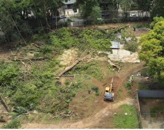 BOSQUE DOS SALESIANOS: Tegra retira árvores de terreno onde será construído empreendimento