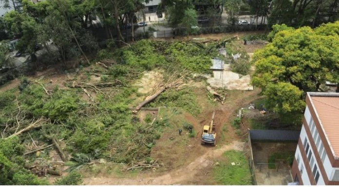BOSQUE DOS SALESIANOS: Tegra retira árvores de terreno onde será construído empreendimento