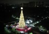 Árvore de Natal símbolo de SP é inaugurada no Parque Villa-Lobos