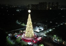 Árvore de Natal símbolo de SP é inaugurada no Parque Villa-Lobos