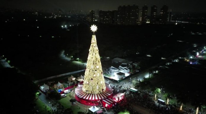 Árvore de Natal símbolo de SP é inaugurada no Parque Villa-Lobos
