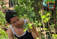 Oficina na Biblioteca Villa-Lôbos ensina a identificar ‘sabores da floresta’ Oficina na Biblioteca Villa-Lôbos ensina a identificar ‘sabores da floresta’