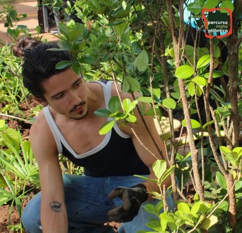 Oficina na Biblioteca Villa-Lôbos ensina a identificar ‘sabores da floresta’