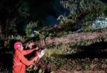 VENDAVAL Lapa teve vento recorde entre as regiões da cidade durante ciclone, segundo CGE VENDAVAL Lapa teve vento recorde entre as regiões da cidade durante ciclone, segundo CGE