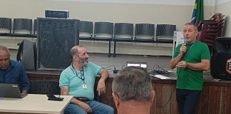 Balanço da Sub Lapa em 2025 inclui mais de 3 mil podas de árvores