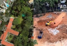 BOSQUE DOS SALESIANOS  Manifestação do MP confirma laudo do CAEX de que área pode ser recuperada