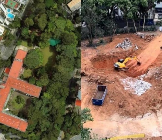 BOSQUE DOS SALESIANOS  Manifestação do MP confirma laudo do CAEX de que área pode ser recuperada