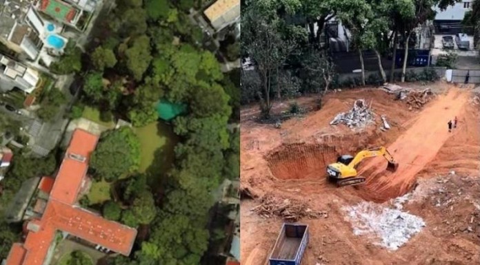 BOSQUE DOS SALESIANOS  Manifestação do MP confirma laudo do CAEX de que área pode ser recuperada