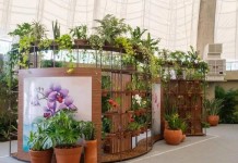 Orquidário do Parque Villa-Lobos reabre após 10 anos com visitação gratuita