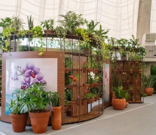 Orquidário do Parque Villa-Lobos reabre após 10 anos com visitação gratuita