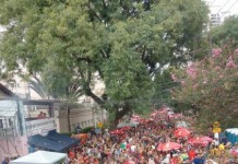 Pré-Carnaval: Confira os blocos que abrem a folia na região