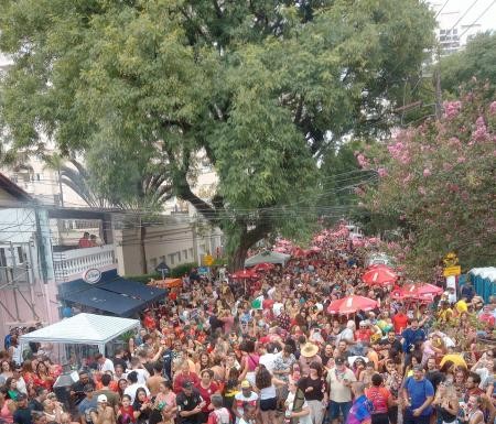 Pré-Carnaval: Confira os blocos que abrem a folia na região