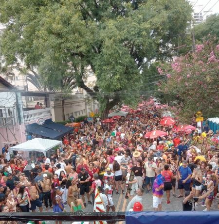 Pré-Carnaval: Confira os blocos que abrem a folia na região