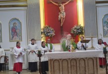 Cardeal participa de missa solene em homenagem à Nossa Senhora de Lourdes