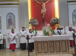 Cardeal participa de missa solene em homenagem à Nossa Senhora de Lourdes