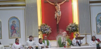 Cardeal participa de missa solene em homenagem à Nossa Senhora de Lourdes