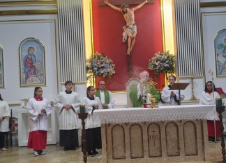 Cardeal participa de missa solene em homenagem à Nossa Senhora de Lourdes