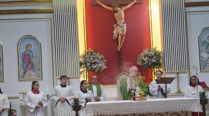 Cardeal participa de missa solene em homenagem à Nossa Senhora de Lourdes