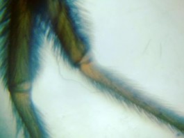 Laboratório de Invencionices diverte e educa no Sesc Pompeia Laboratório de Invencionices diverte e educa no Sesc Pompeia