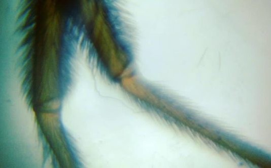 Laboratório de Invencionices diverte e educa no Sesc Pompeia