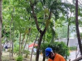 Sub Lapa faz serviços de conservação na Praça Emílio Pasetti