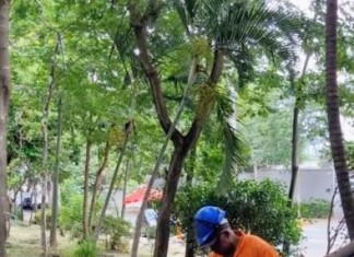 Sub Lapa faz serviços de conservação na Praça Emílio Pasetti