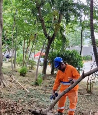 Sub Lapa faz serviços de conservação na Praça Emílio Pasetti