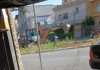 Sub Lapa retira plantação irregular em rotatória na Rua Sepetiba