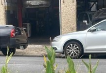 Moradores reclamam de plantação em rotatória na Rua Sepetiba