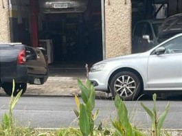 Moradores reclamam de plantação em rotatória na Rua Sepetiba