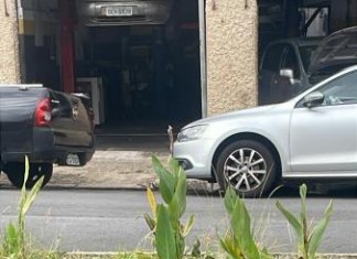 Moradores reclamam de plantação em rotatória na Rua Sepetiba