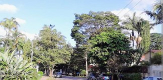 Polêmica sobre casas para idosos na City mobiliza entidades