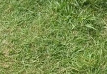 Praça Nova Lapa tem trave de futebol roubada Praça Nova Lapa tem trave de futebol roubada