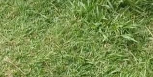 Praça Nova Lapa tem trave de futebol roubada