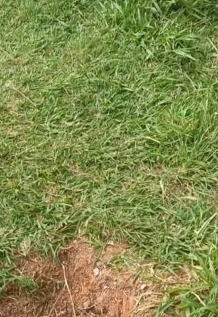 Praça Nova Lapa tem trave de futebol roubada Praça Nova Lapa tem trave de futebol roubada